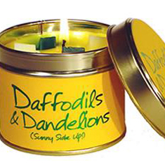 Daffodils &amp; Dandelions
