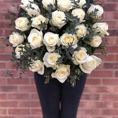 Classic White Roses